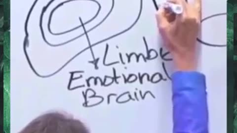 EMOTION vs REASON: How our brain works - Barbara O'Neill