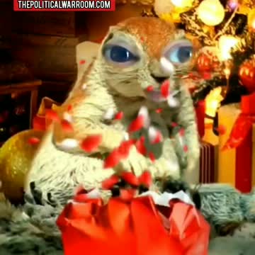 ⭐🎄"THE SQUIRREL ROCKING AROUND THE CHRISTMAS TREE"🎄⭐