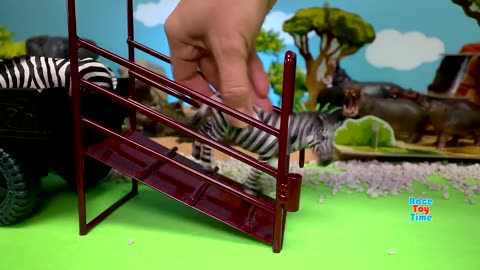 Safari _animal _ for kids,