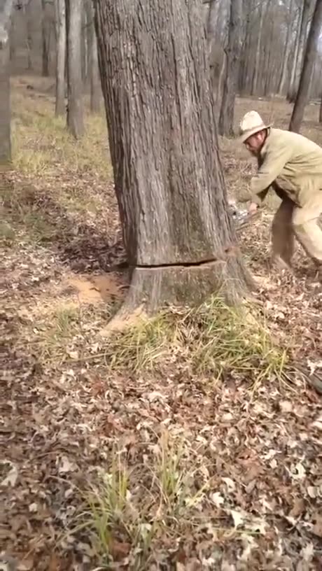 I have so many questions!