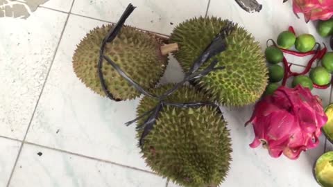 Have You Ever Tasted a Pink Coconut?