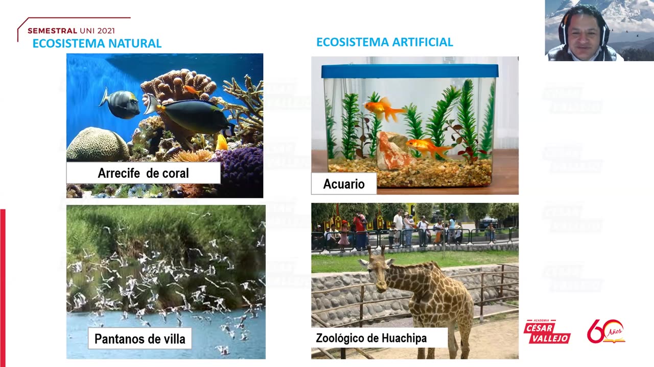 SEMESTRAL VALLEJO 2021 | Semana 19 | Química