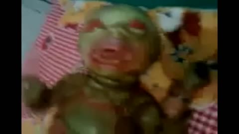 REPTILIAN BABIES FROM DUMBS