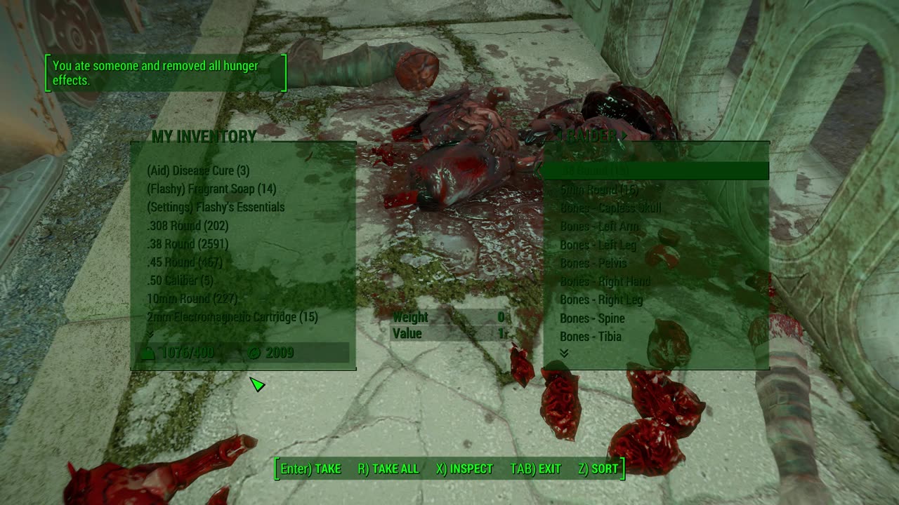 Fallout 4 play through with mods new run