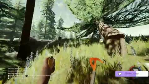 The forest ita #1
