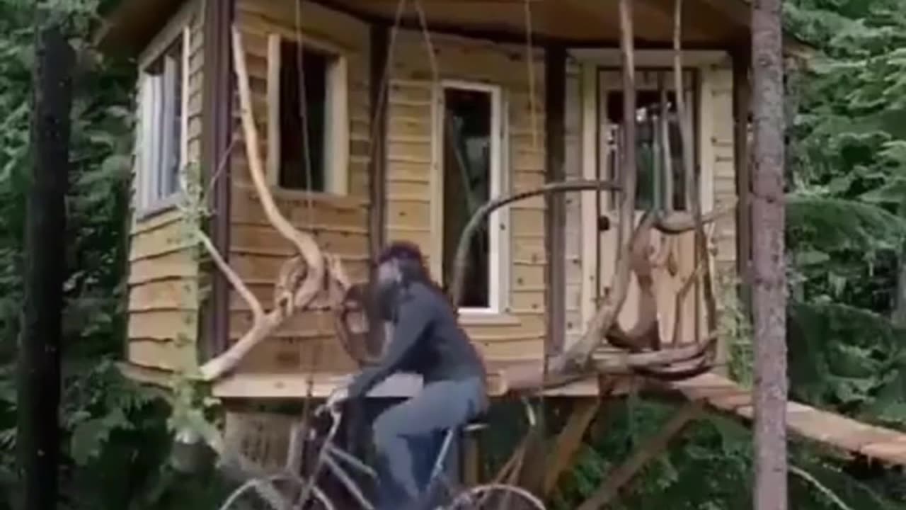 That’s just different. Entering the treehouse with a bicycle
