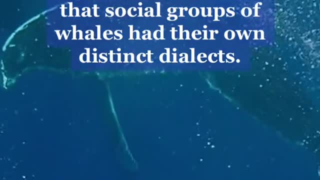 What do you think they’re saying?