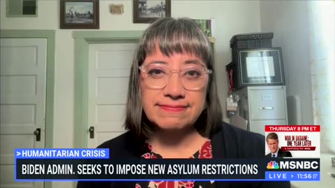 'Travel Ban': MSNBC Guest Blasts Biden Over Border Policy