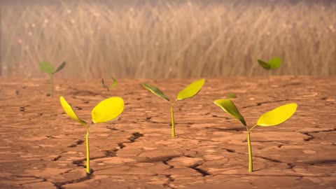 CGI 3D Animated Short _Course Of Nature_ - by Lucy Xue & Paisley Manga _ TheCGBros