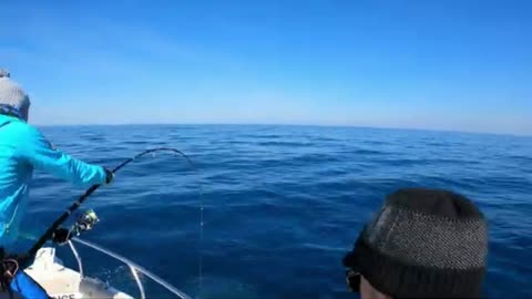 Fishing In The Blue Sky