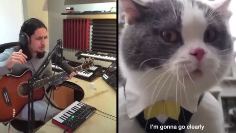 The Kiffness - Big Billy (Singing Cat) [FULL Version]