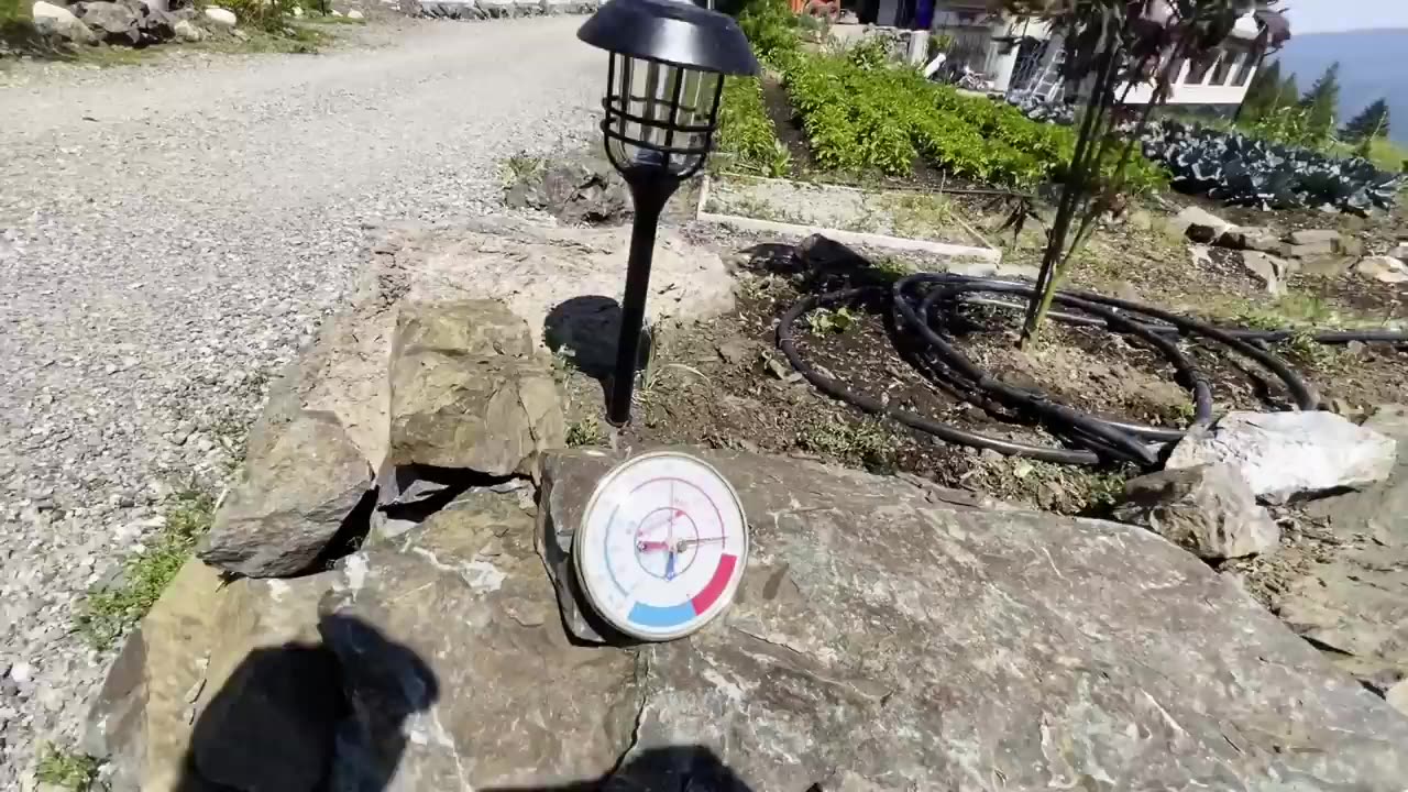 Full Homestead Tour Summer 2024! (Timestamps in Description)