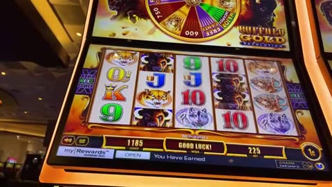 Casino Fun - Gambling Video