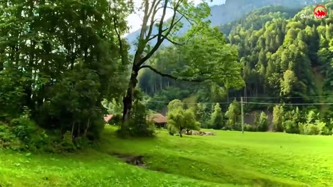 Most Beautiful Train Ride in Switzerland🇨🇭Grindelwald _ Lauterbrunnen #swiss #train ride