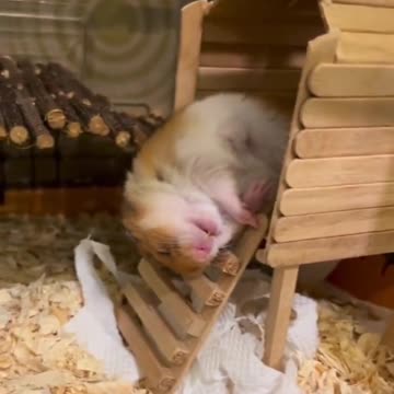 At the end of the working day