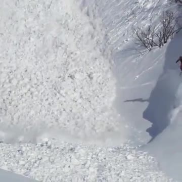 It's The Year Of The Brave Rabbit