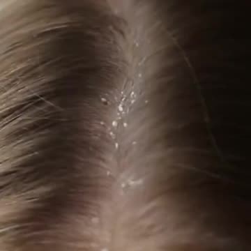 Olive Oil Haircare Unlock the Secrets of Lustrous Locks