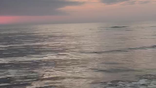 Beautiful Sunset Over Ocean View with Dolphin!