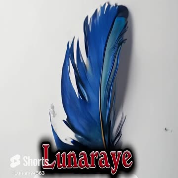 DEPUTY SHERIFF BRADLEY RICHES: ORANGE COUNTY SO, CA