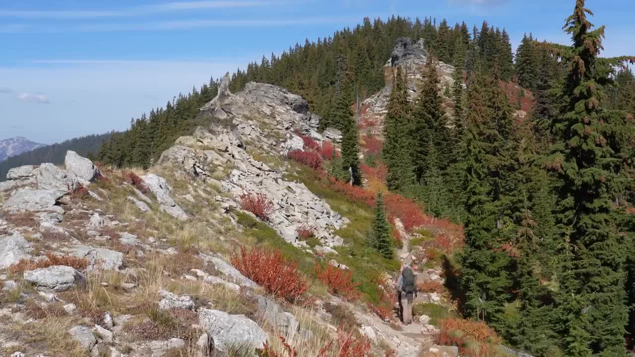 3 Day Catch and Cook in Mountains with Homemade Bow ==== 15