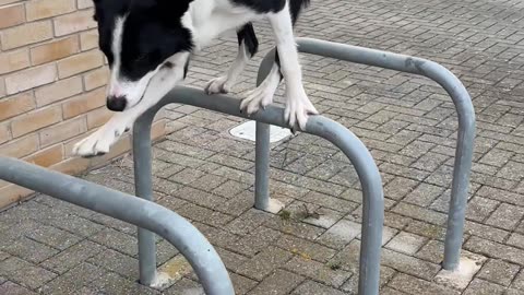 Simbas Mind-Blowing Parkour Move