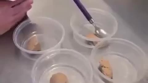 You Will Drink the Insect Milk *1min