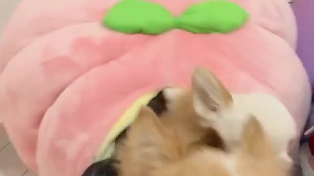 I caught you