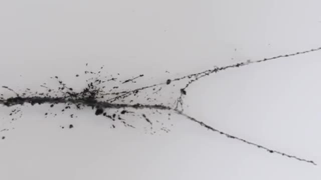 Nanotubes assemble! Rice introduces Teslaphoresis