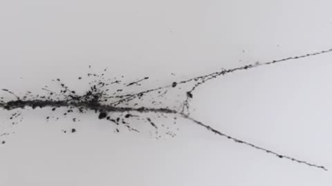 Nanotubes assemble! Rice introduces Teslaphoresis