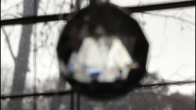 Til the day i die - slow down -