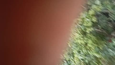 প্রাকৃতিক আবহাওয়া viral