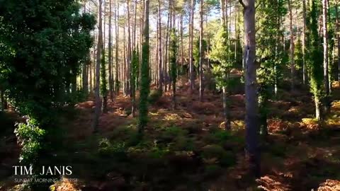 Christian Healing Worship Peaceful Scenery