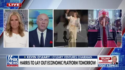 Kevin O'Leary_ Kamala Harris' 'bash everything' strategy will lose the election