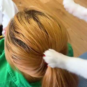 Nico:Mom doesn't have to buy cups!#cute #dog #funny #doglover #funnymoments.