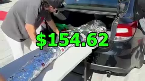 Largest chipotle burrito