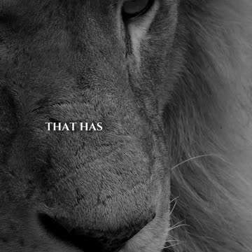 unbeatablementality Unbeatable Mentality