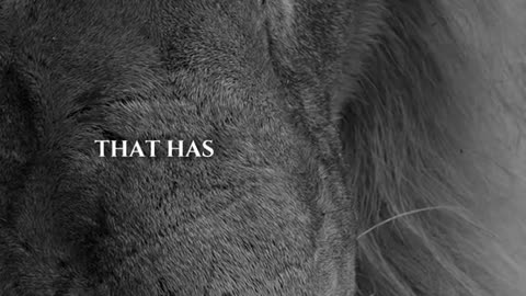 unbeatablementality Unbeatable Mentality
