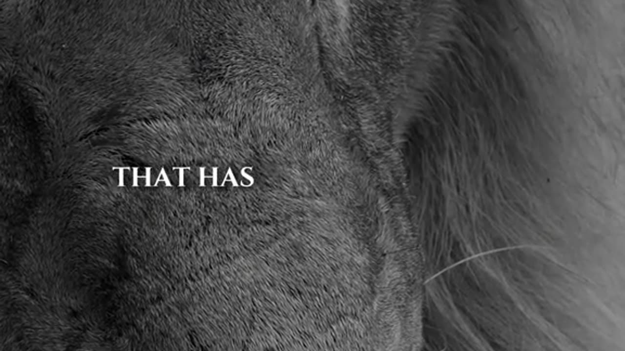unbeatablementality Unbeatable Mentality