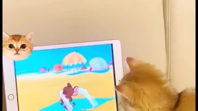 He is addicted to watching TV