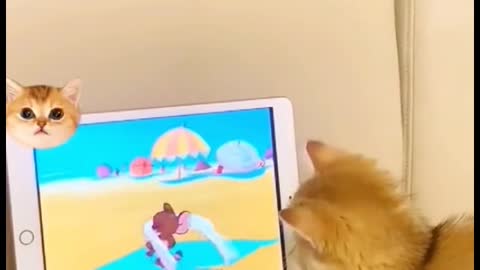 He is addicted to watching TV