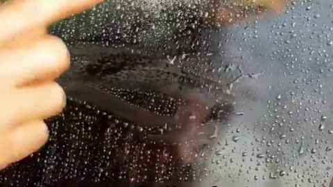 Amazing Car Hacks | Potato | Rain hacks | Driving lesson