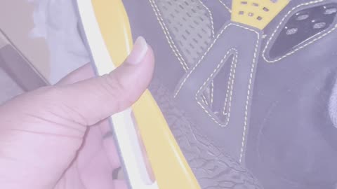 Air Jordan Spizike Thunders