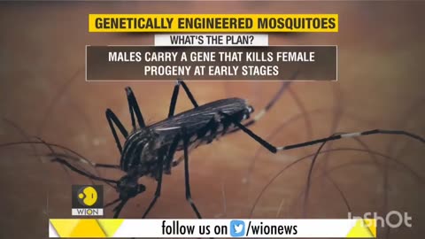BIODIVERSITY OR BIO/ECO TERRORISM?! You Be The Judge!