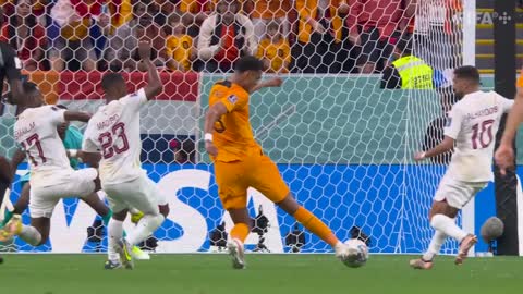 Gakpo strikes again | Netherlands v Qatar | FIFA World Cup Qatar 2022