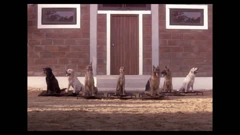 Alpha Q _ Kaiyum Kalavum _ Tamil _ Sony LIV Originals _ Streaming Now