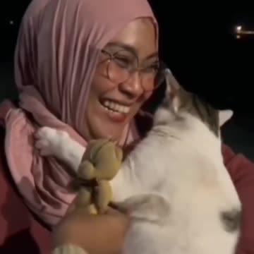 Cats Like Babies | Try Not Laugh