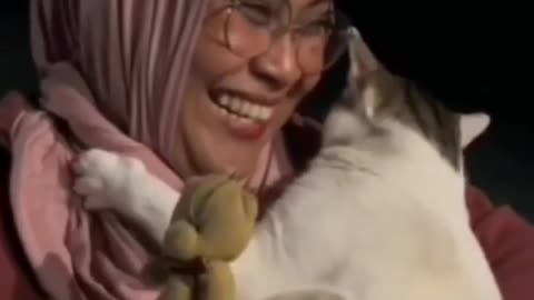 Cats Like Babies | Try Not Laugh