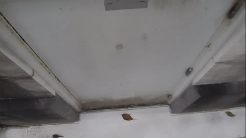 0921USCG00HT18Exterior_2021-01-06_15h20min01s953ms.mp4