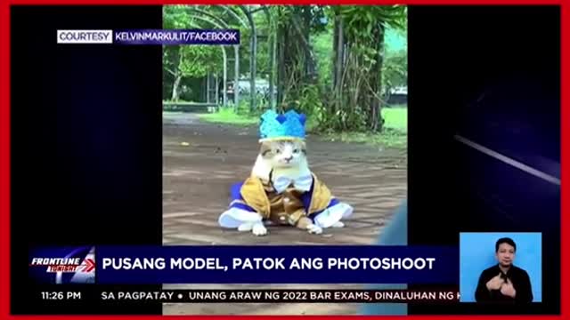 Pusang model, patok ang photoshoot