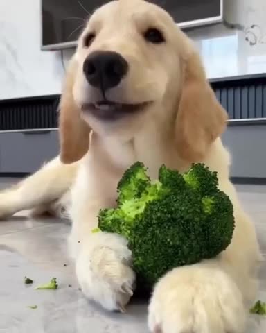 News Break: Admin reveal.